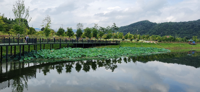 1075클릭하시면 원래크기의 이미지가 보여집니다